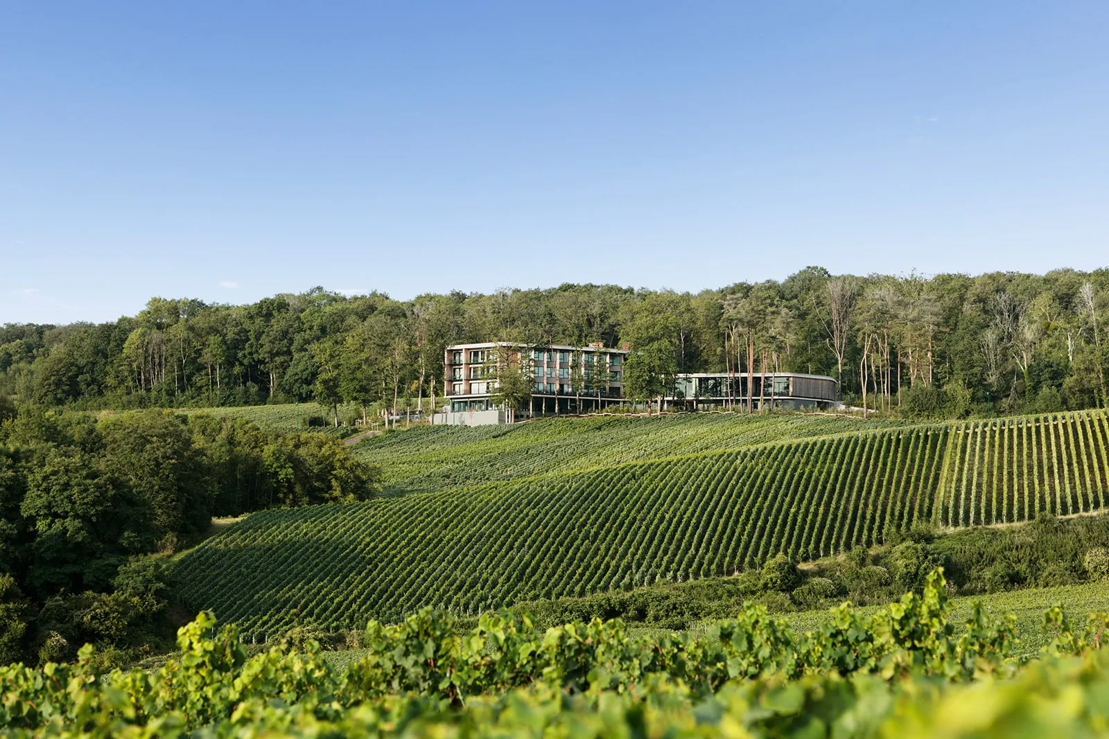 Flug zum Wine & Spa Hotel Loisium Südsteiermark – Bild 4