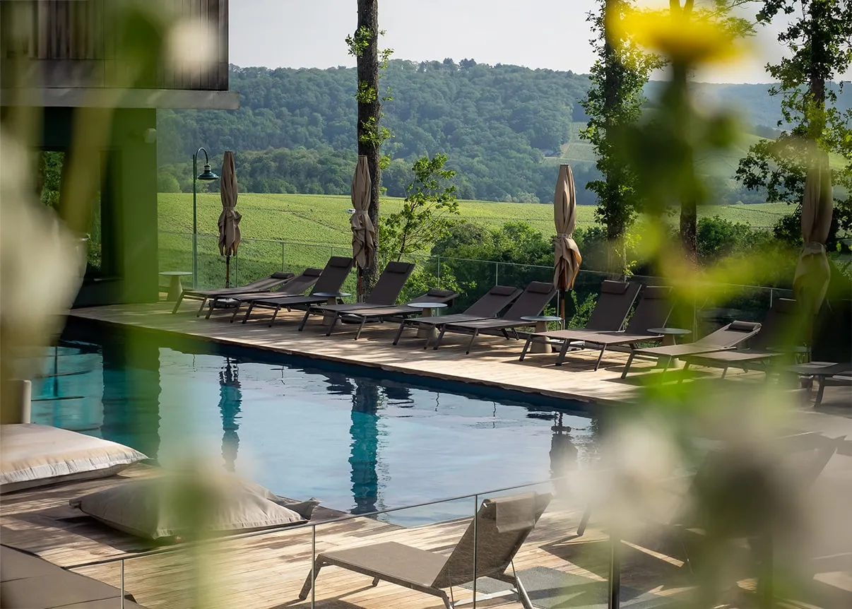 Flug zum Wine & Spa Hotel Loisium Südsteiermark – Bild 6