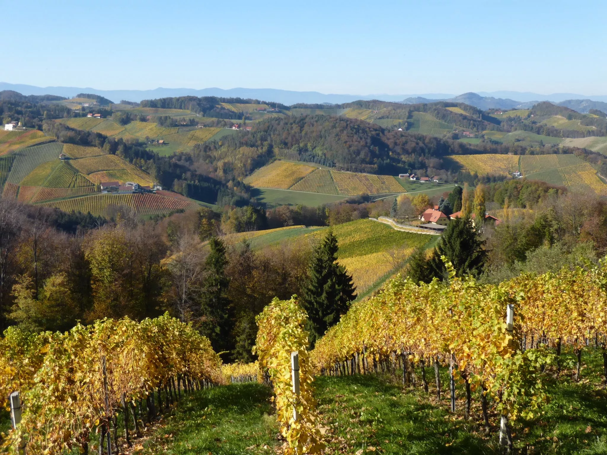 Helikopterflug zu Golden Hill Country Chalets & Suites