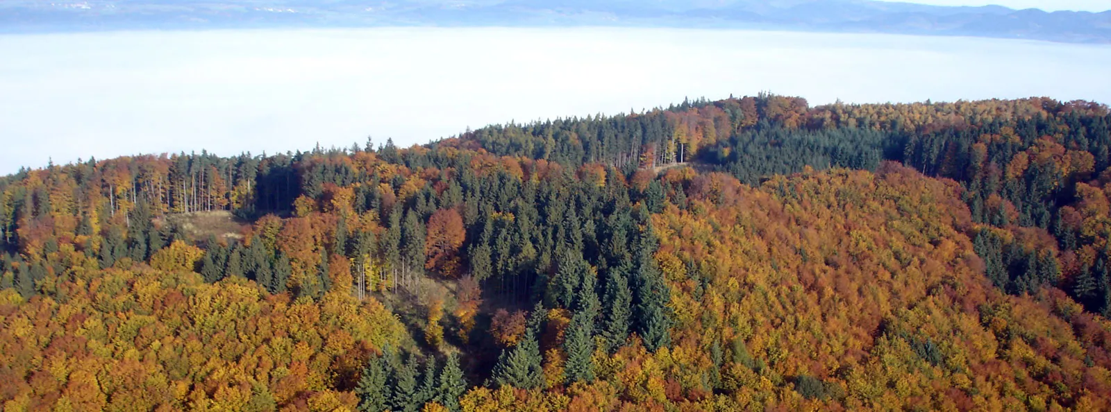Header forstwirtschaft