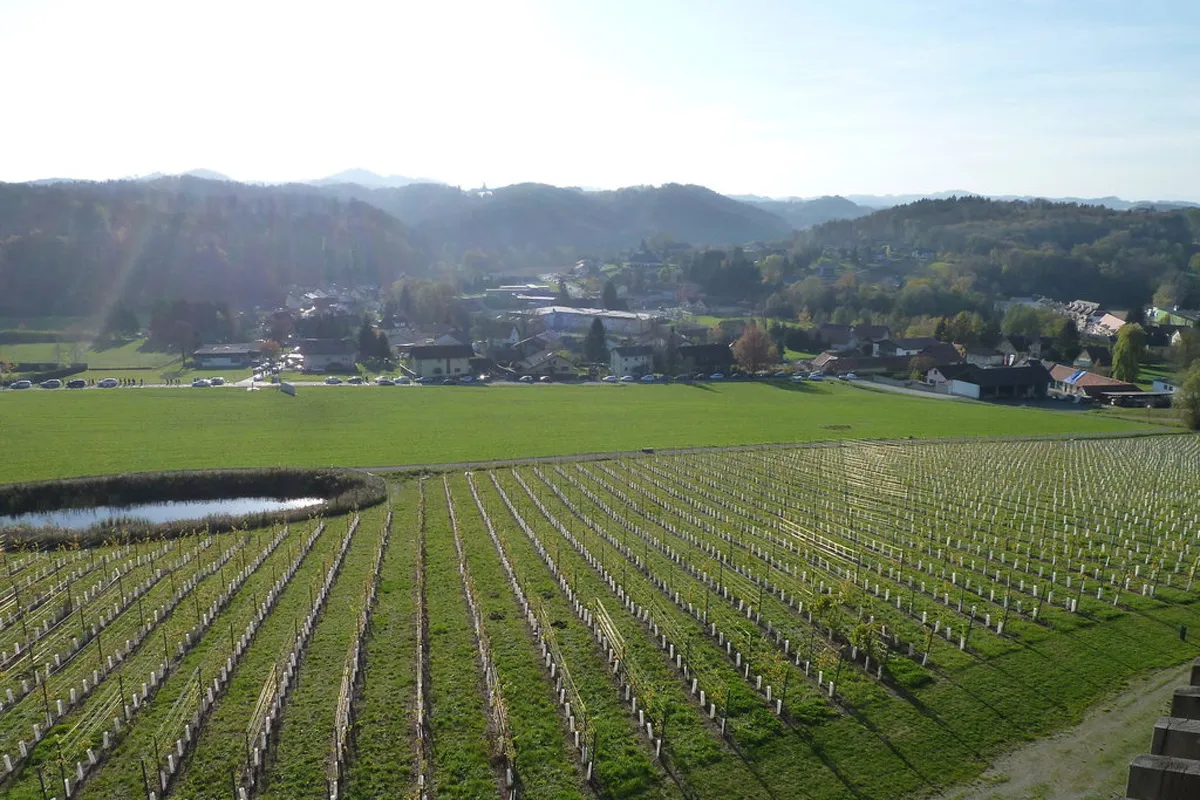 Flug zum Wine & Spa Hotel Loisium Südsteiermark – Bild 13